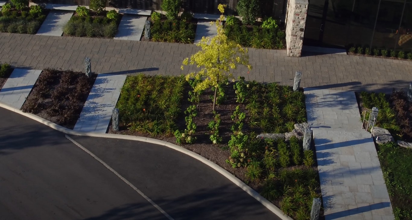 Aerial view of professional landscape installation with planted beds and young trees